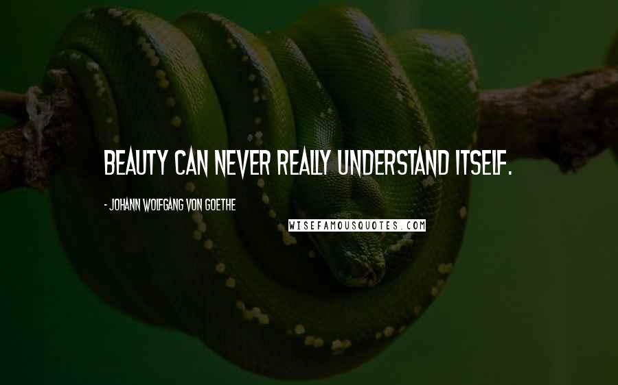 Johann Wolfgang Von Goethe Quotes: Beauty can never really understand itself.