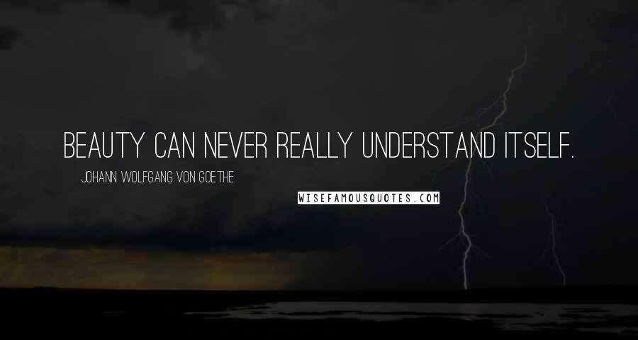 Johann Wolfgang Von Goethe Quotes: Beauty can never really understand itself.