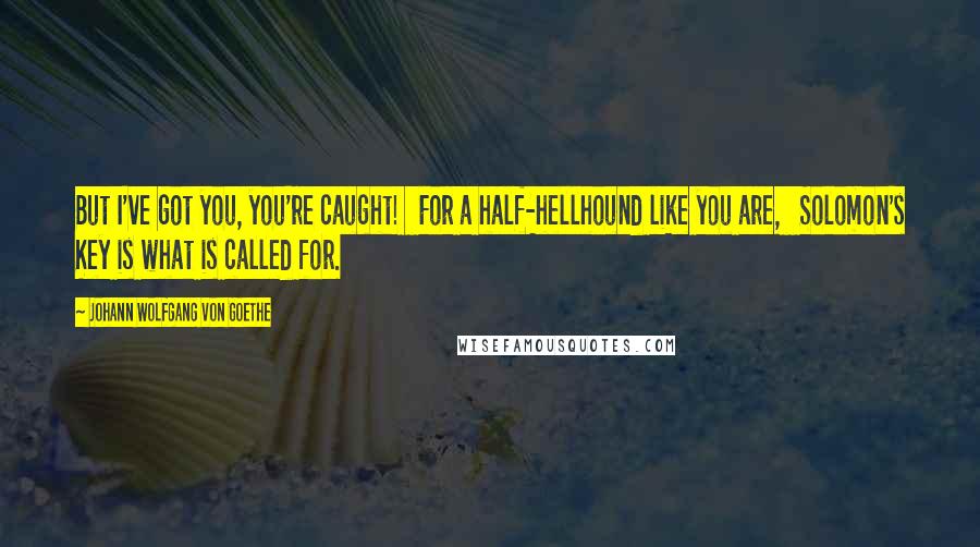 Johann Wolfgang Von Goethe Quotes: But I've got you, you're caught!   For a half-hellhound like you are,   Solomon's Key is what is called for.