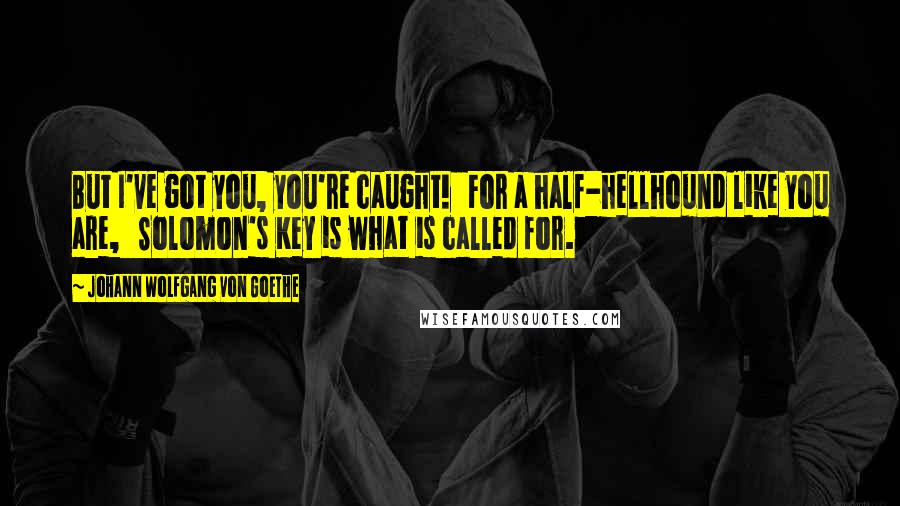 Johann Wolfgang Von Goethe Quotes: But I've got you, you're caught! For a half-hellhound like you are, Solomon's Key is what is called for.