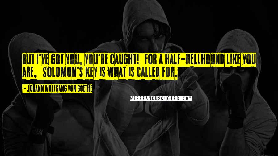 Johann Wolfgang Von Goethe Quotes: But I've got you, you're caught!   For a half-hellhound like you are,   Solomon's Key is what is called for.