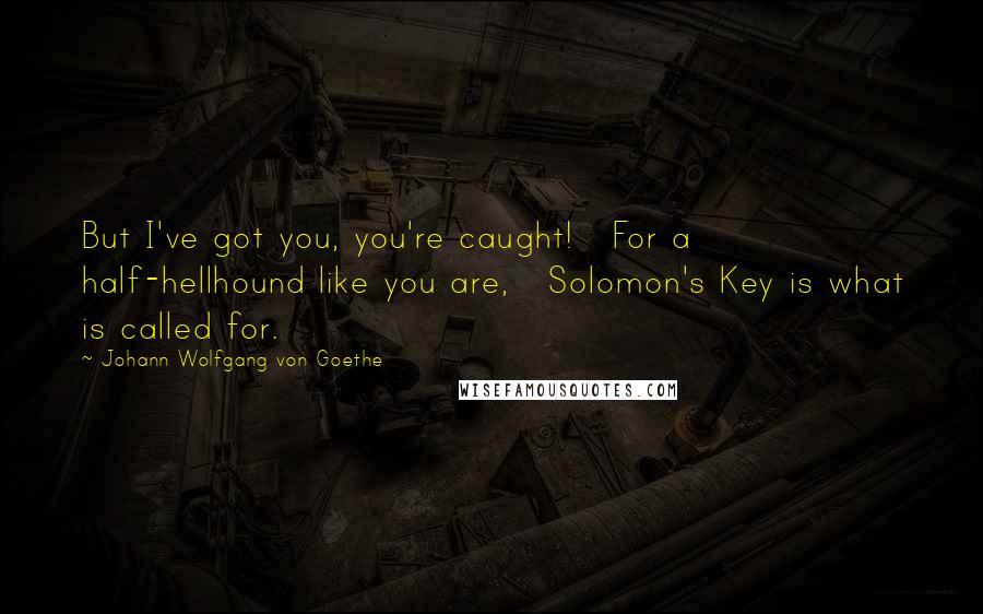 Johann Wolfgang Von Goethe Quotes: But I've got you, you're caught!   For a half-hellhound like you are,   Solomon's Key is what is called for.