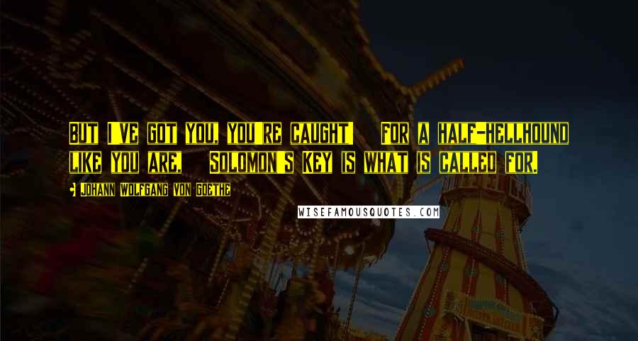 Johann Wolfgang Von Goethe Quotes: But I've got you, you're caught!   For a half-hellhound like you are,   Solomon's Key is what is called for.