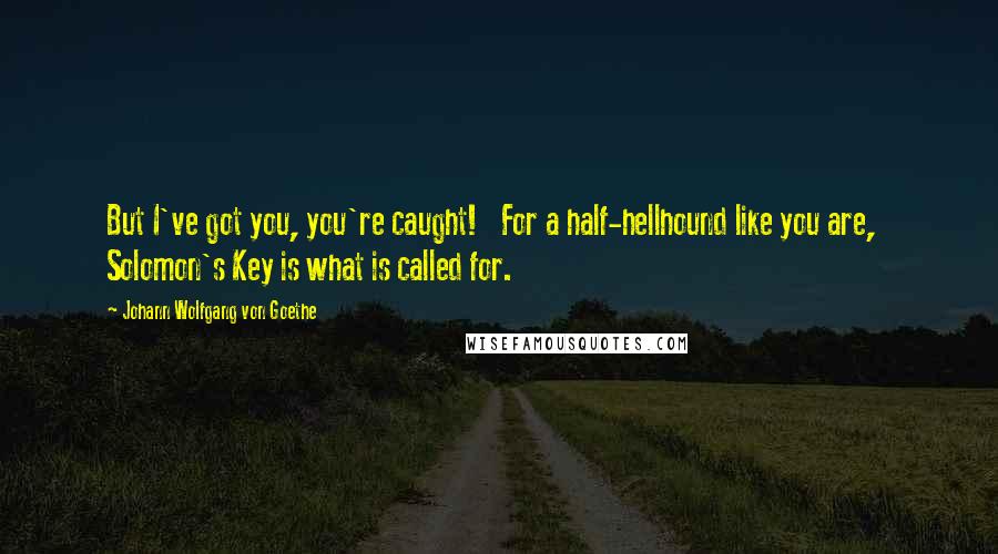 Johann Wolfgang Von Goethe Quotes: But I've got you, you're caught!   For a half-hellhound like you are,   Solomon's Key is what is called for.