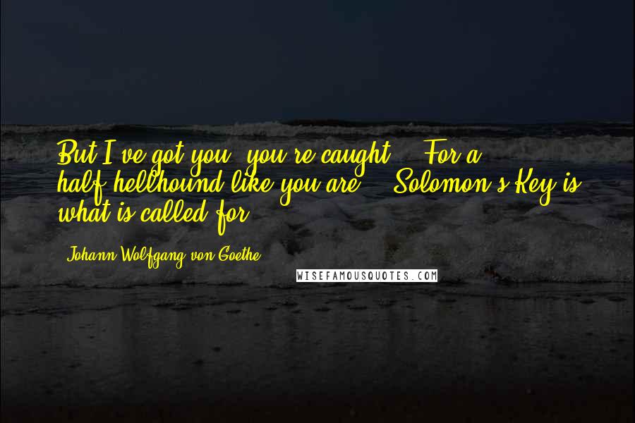 Johann Wolfgang Von Goethe Quotes: But I've got you, you're caught!   For a half-hellhound like you are,   Solomon's Key is what is called for.