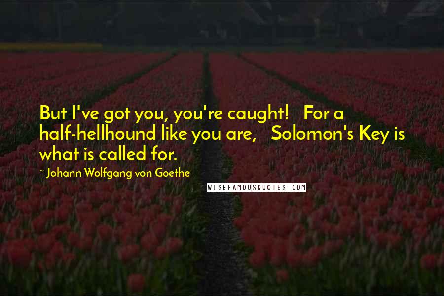 Johann Wolfgang Von Goethe Quotes: But I've got you, you're caught! For a half-hellhound like you are, Solomon's Key is what is called for.