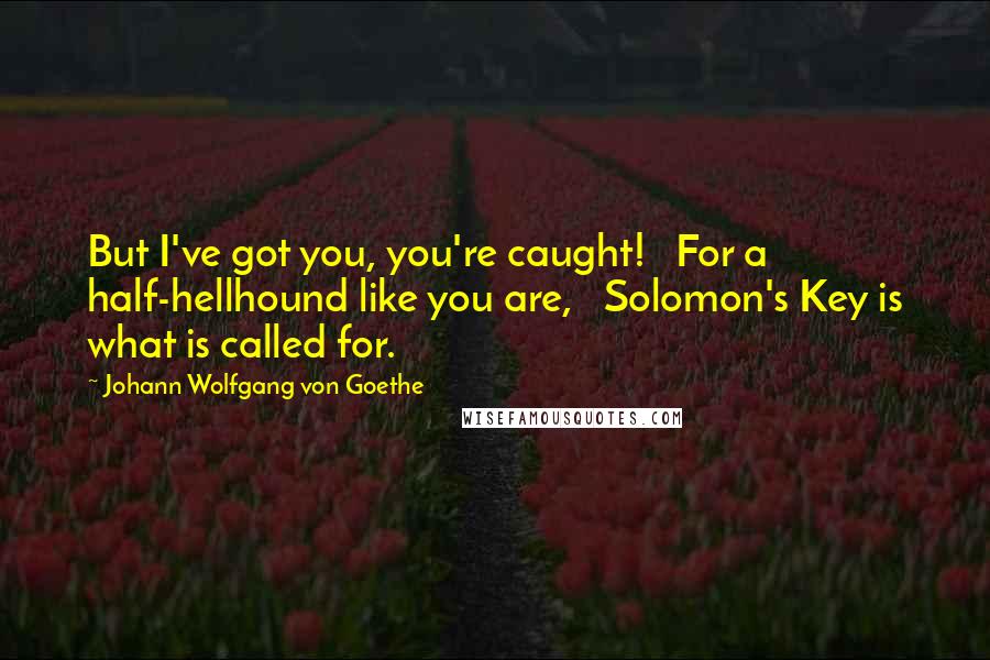 Johann Wolfgang Von Goethe Quotes: But I've got you, you're caught!   For a half-hellhound like you are,   Solomon's Key is what is called for.