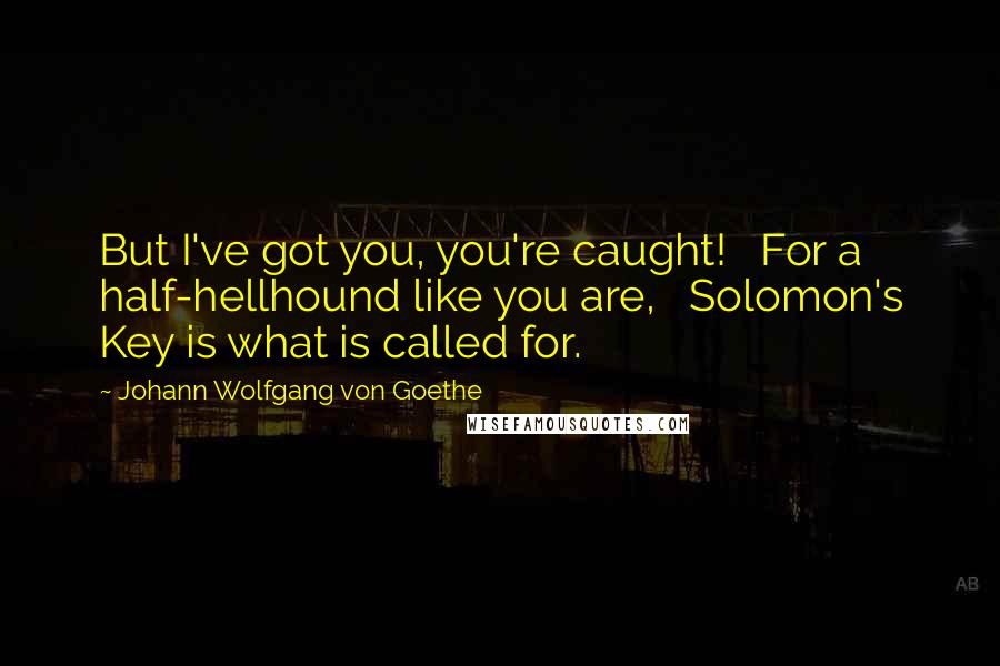 Johann Wolfgang Von Goethe Quotes: But I've got you, you're caught!   For a half-hellhound like you are,   Solomon's Key is what is called for.