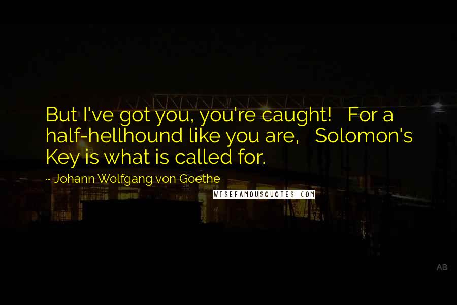 Johann Wolfgang Von Goethe Quotes: But I've got you, you're caught! For a half-hellhound like you are, Solomon's Key is what is called for.