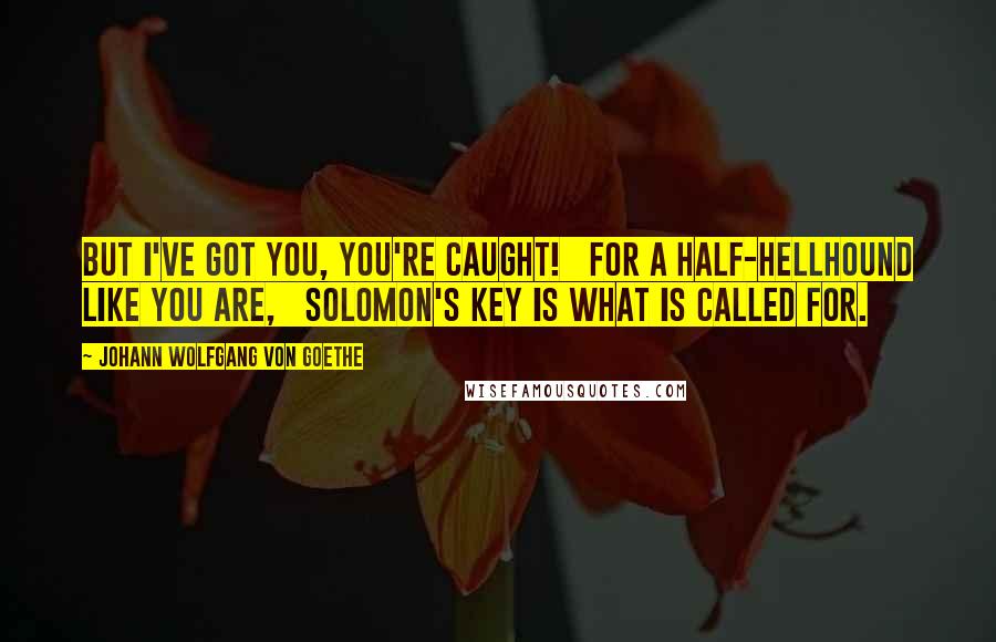 Johann Wolfgang Von Goethe Quotes: But I've got you, you're caught!   For a half-hellhound like you are,   Solomon's Key is what is called for.