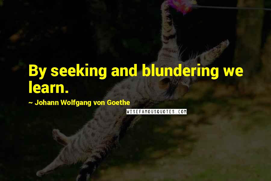 Johann Wolfgang Von Goethe Quotes: By seeking and blundering we learn.