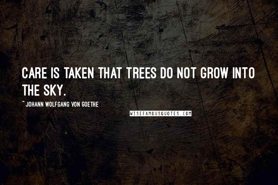 Johann Wolfgang Von Goethe Quotes: Care is taken that trees do not grow into the sky.