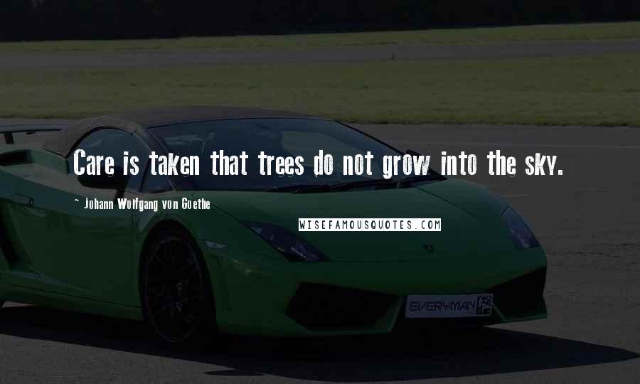 Johann Wolfgang Von Goethe Quotes: Care is taken that trees do not grow into the sky.
