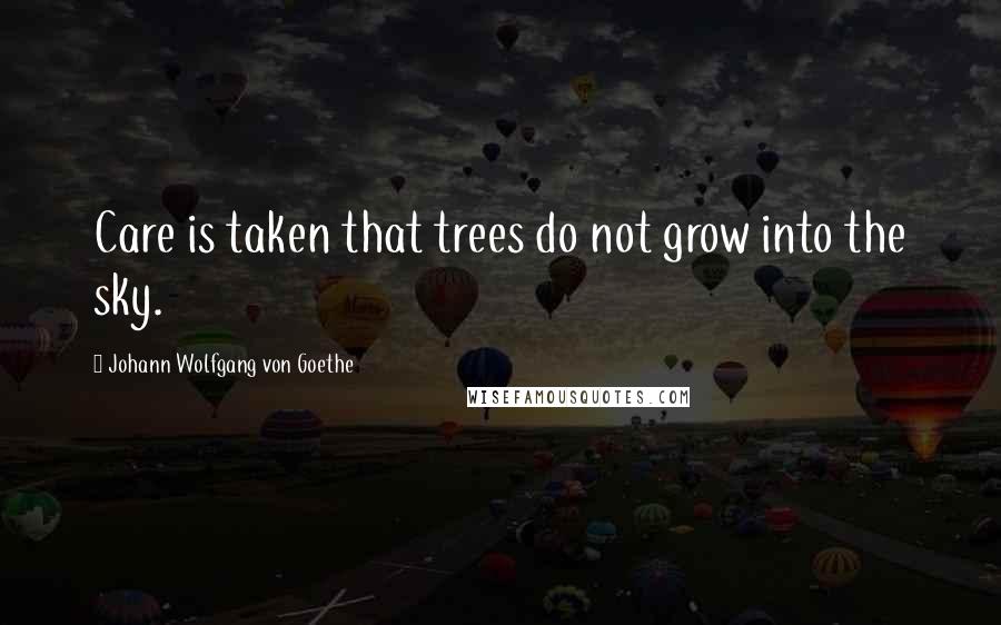 Johann Wolfgang Von Goethe Quotes: Care is taken that trees do not grow into the sky.