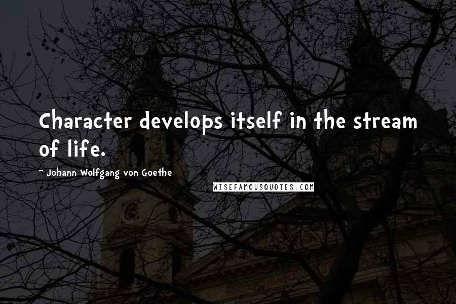 Johann Wolfgang Von Goethe Quotes: Character develops itself in the stream of life.