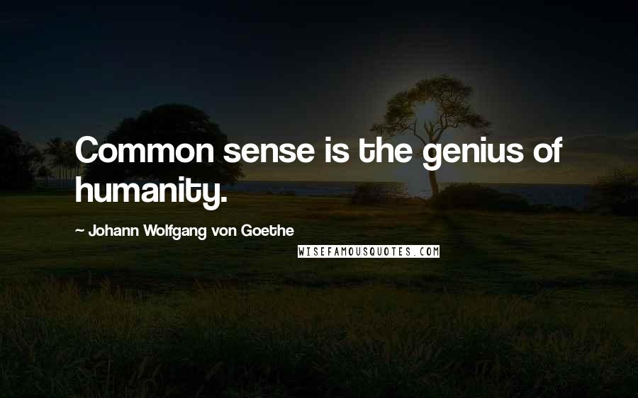 Johann Wolfgang Von Goethe Quotes: Common sense is the genius of humanity.