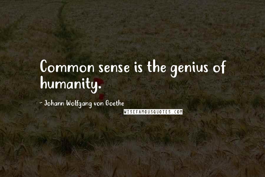 Johann Wolfgang Von Goethe Quotes: Common sense is the genius of humanity.