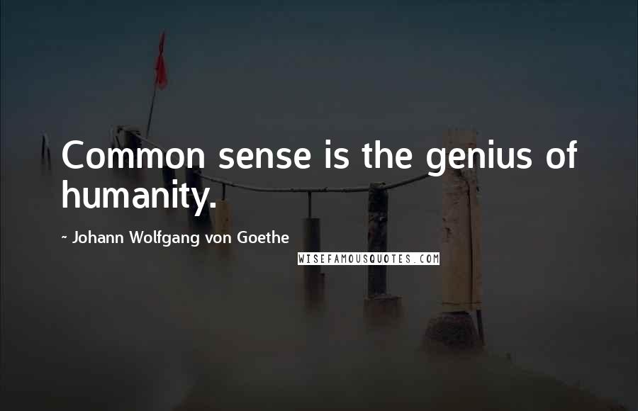 Johann Wolfgang Von Goethe Quotes: Common sense is the genius of humanity.