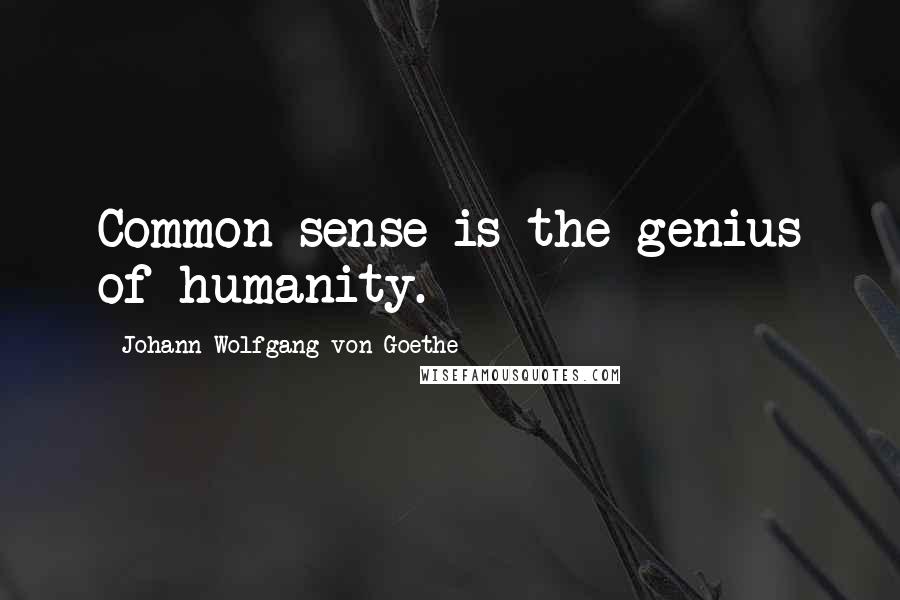 Johann Wolfgang Von Goethe Quotes: Common sense is the genius of humanity.