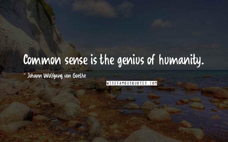 Johann Wolfgang Von Goethe Quotes: Common sense is the genius of humanity.