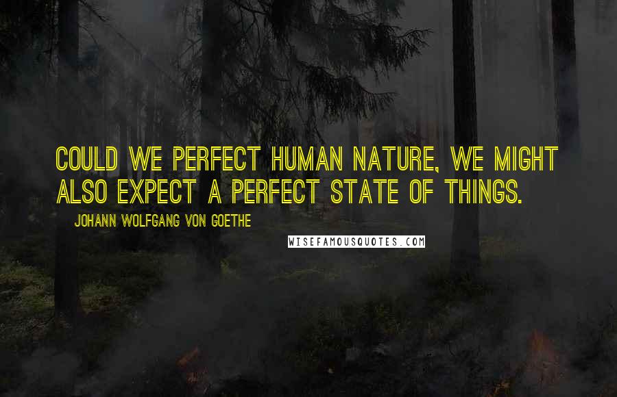 Johann Wolfgang Von Goethe Quotes: Could we perfect human nature, we might also expect a perfect state of things.