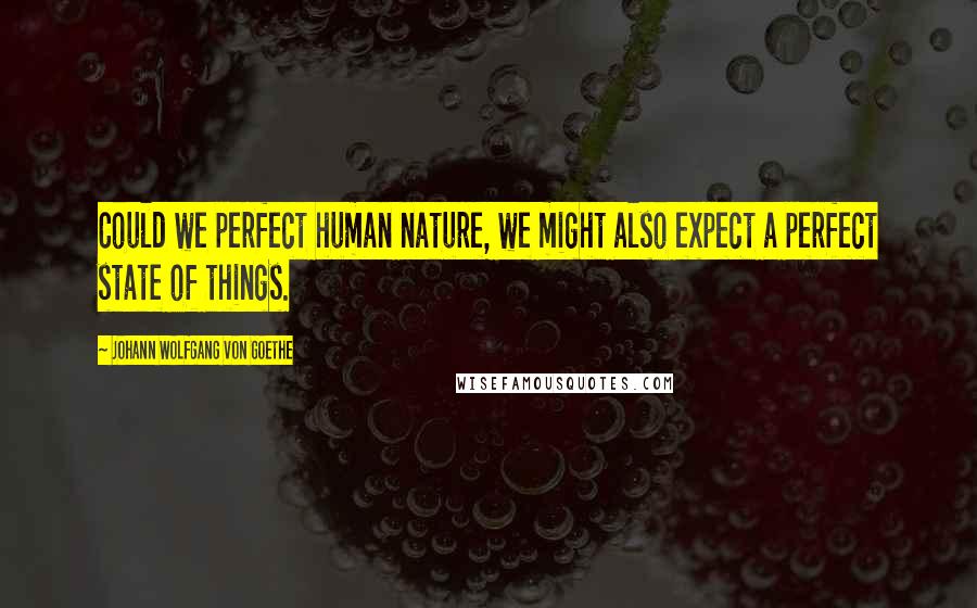 Johann Wolfgang Von Goethe Quotes: Could we perfect human nature, we might also expect a perfect state of things.