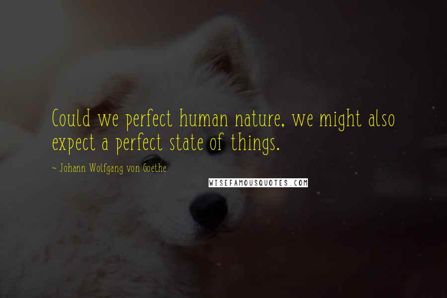 Johann Wolfgang Von Goethe Quotes: Could we perfect human nature, we might also expect a perfect state of things.