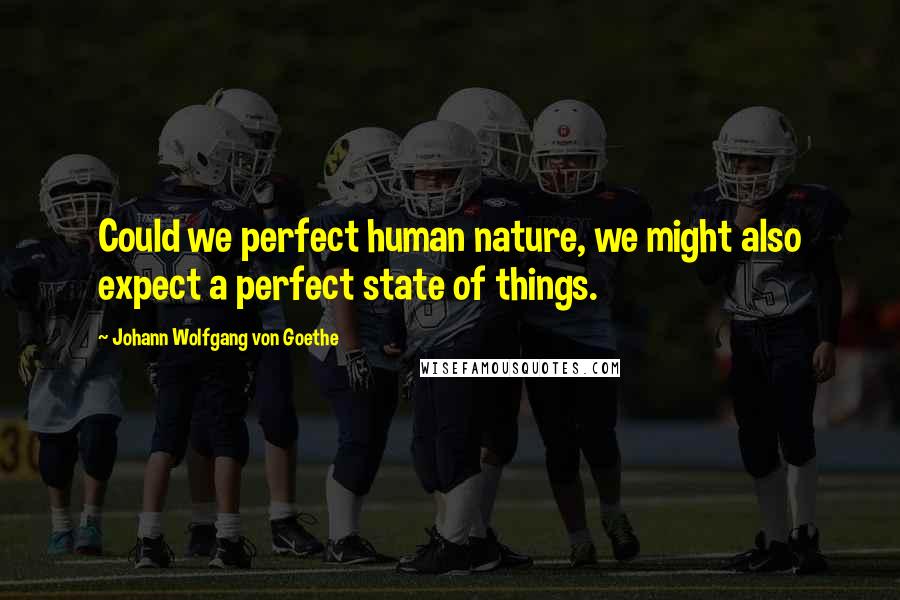 Johann Wolfgang Von Goethe Quotes: Could we perfect human nature, we might also expect a perfect state of things.