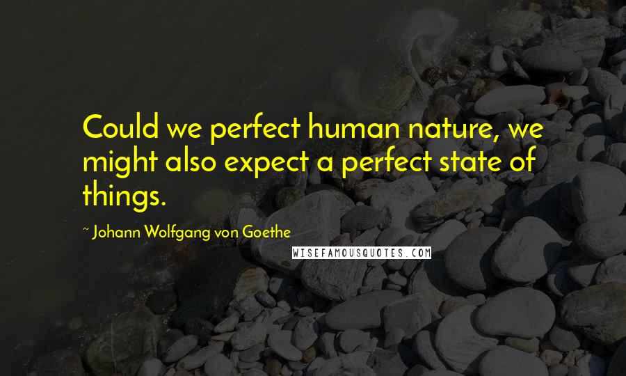 Johann Wolfgang Von Goethe Quotes: Could we perfect human nature, we might also expect a perfect state of things.