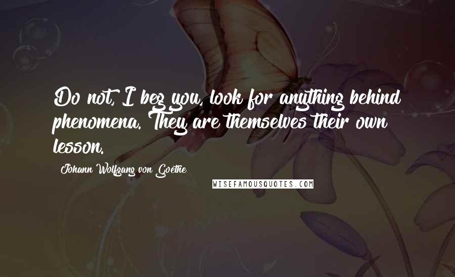 Johann Wolfgang Von Goethe Quotes: Do not, I beg you, look for anything behind phenomena. They are themselves their own lesson.
