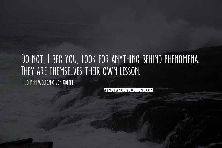 Johann Wolfgang Von Goethe Quotes: Do not, I beg you, look for anything behind phenomena. They are themselves their own lesson.