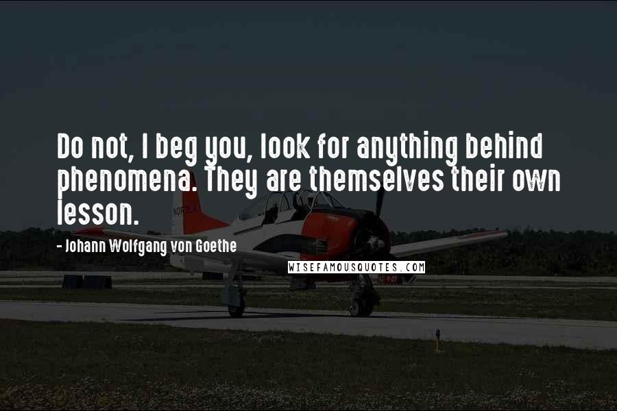 Johann Wolfgang Von Goethe Quotes: Do not, I beg you, look for anything behind phenomena. They are themselves their own lesson.