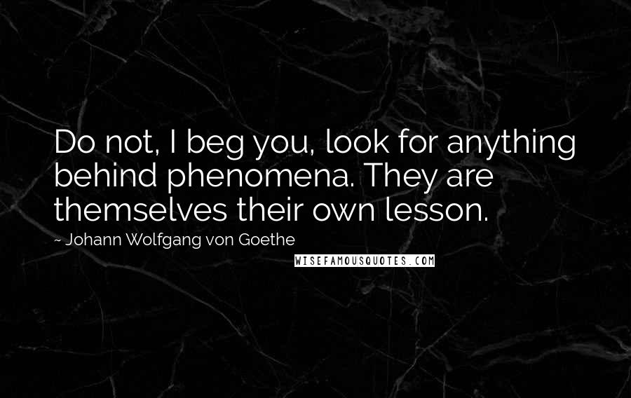 Johann Wolfgang Von Goethe Quotes: Do not, I beg you, look for anything behind phenomena. They are themselves their own lesson.