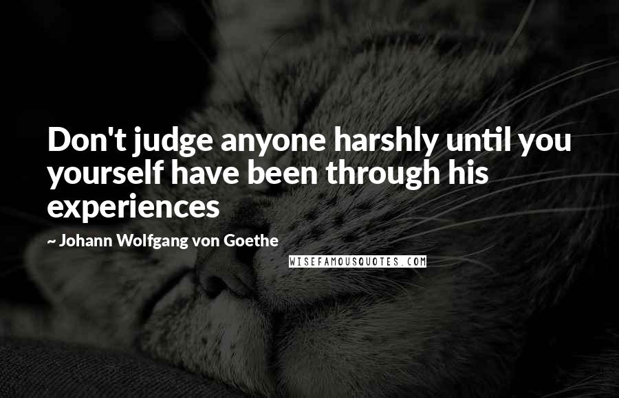 Johann Wolfgang Von Goethe Quotes: Don't judge anyone harshly until you yourself have been through his experiences