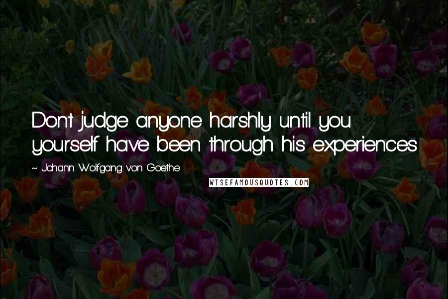 Johann Wolfgang Von Goethe Quotes: Don't judge anyone harshly until you yourself have been through his experiences
