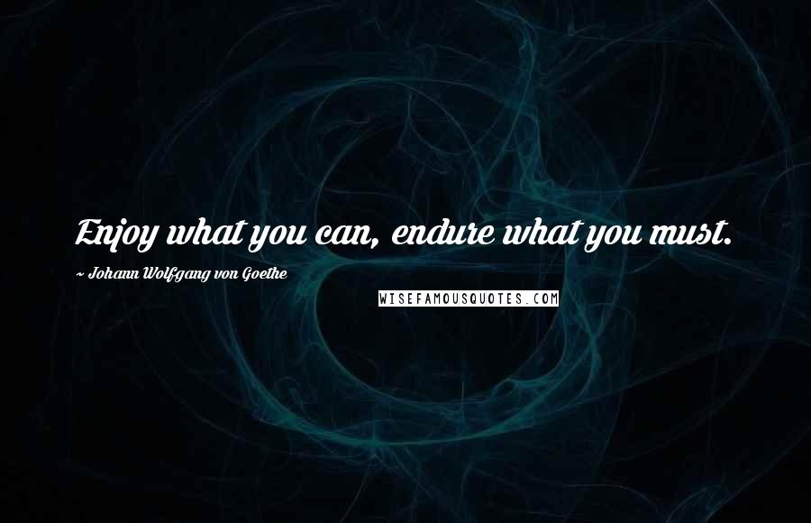 Johann Wolfgang Von Goethe Quotes: Enjoy what you can, endure what you must.