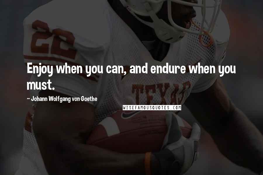 Johann Wolfgang Von Goethe Quotes: Enjoy when you can, and endure when you must.