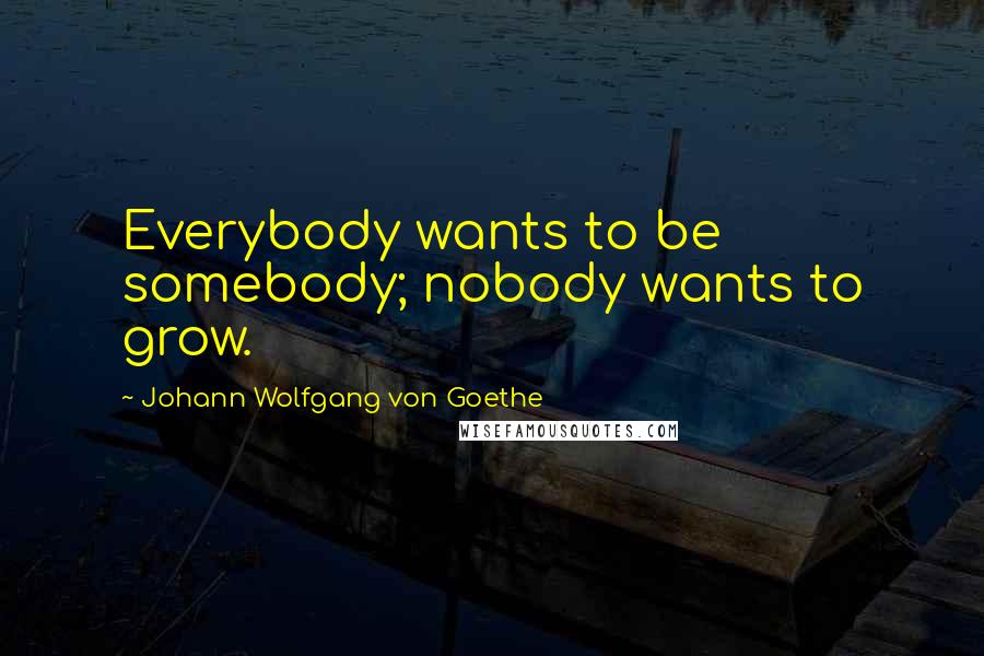 Johann Wolfgang Von Goethe Quotes: Everybody wants to be somebody; nobody wants to grow.