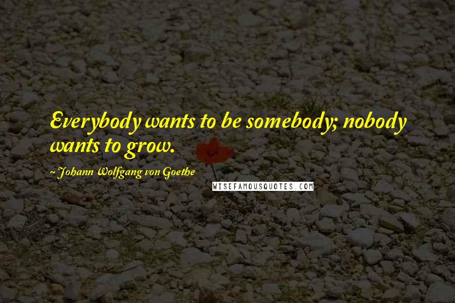 Johann Wolfgang Von Goethe Quotes: Everybody wants to be somebody; nobody wants to grow.