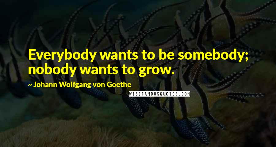 Johann Wolfgang Von Goethe Quotes: Everybody wants to be somebody; nobody wants to grow.