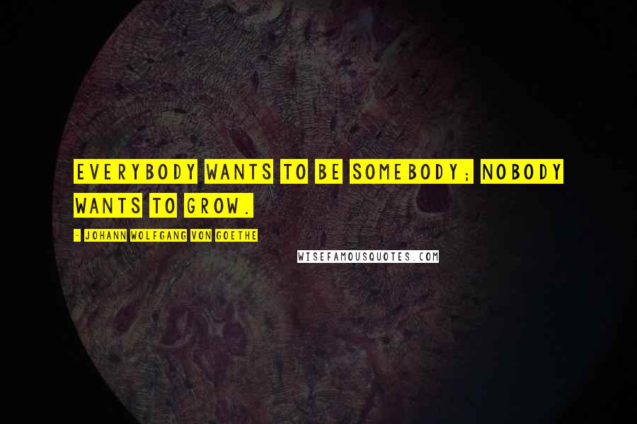 Johann Wolfgang Von Goethe Quotes: Everybody wants to be somebody; nobody wants to grow.