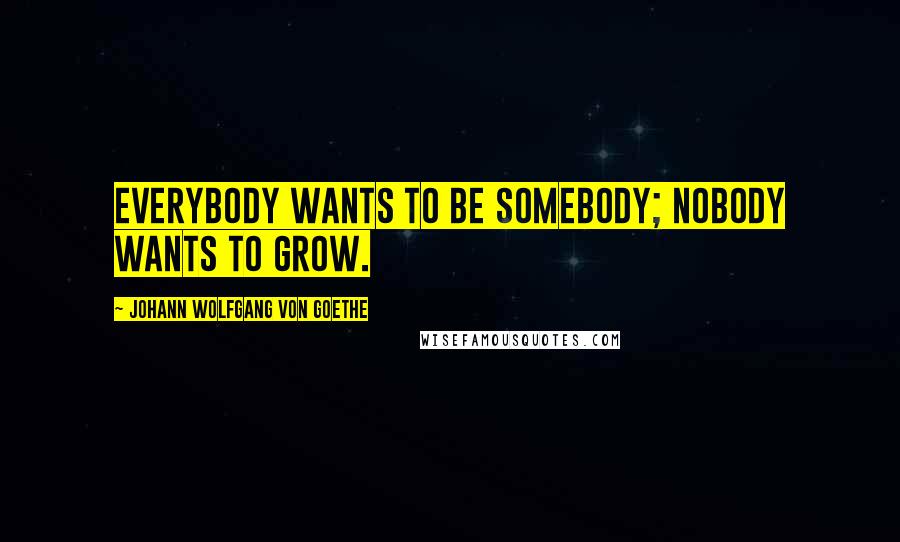 Johann Wolfgang Von Goethe Quotes: Everybody wants to be somebody; nobody wants to grow.