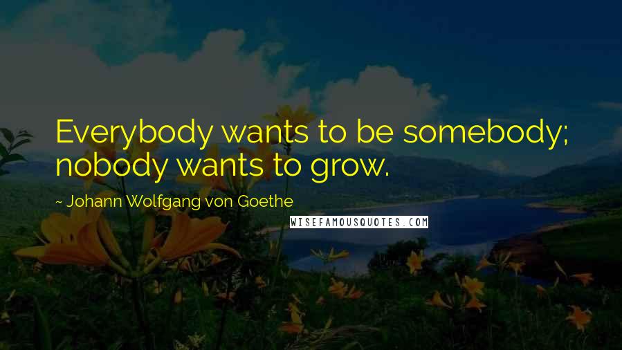 Johann Wolfgang Von Goethe Quotes: Everybody wants to be somebody; nobody wants to grow.