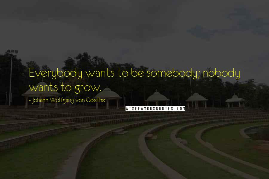 Johann Wolfgang Von Goethe Quotes: Everybody wants to be somebody; nobody wants to grow.