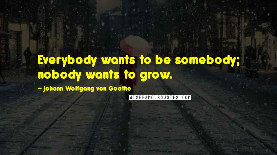 Johann Wolfgang Von Goethe Quotes: Everybody wants to be somebody; nobody wants to grow.