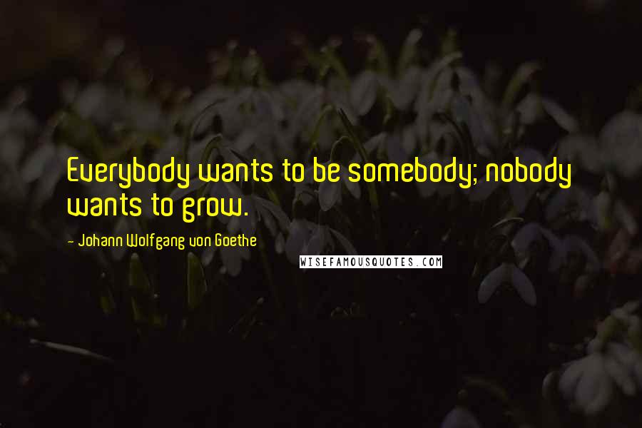 Johann Wolfgang Von Goethe Quotes: Everybody wants to be somebody; nobody wants to grow.