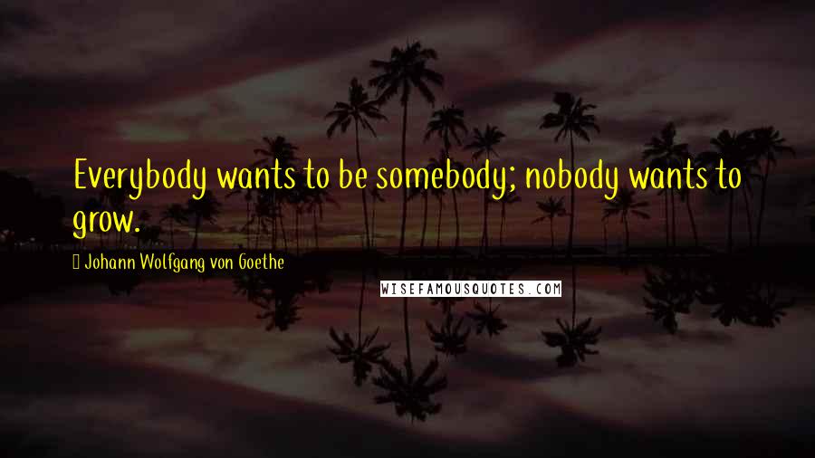 Johann Wolfgang Von Goethe Quotes: Everybody wants to be somebody; nobody wants to grow.