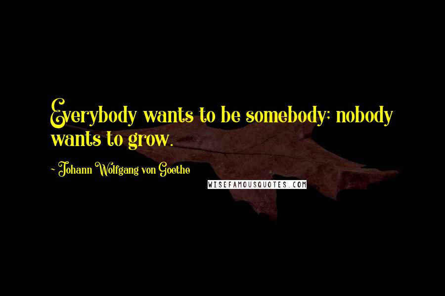 Johann Wolfgang Von Goethe Quotes: Everybody wants to be somebody; nobody wants to grow.