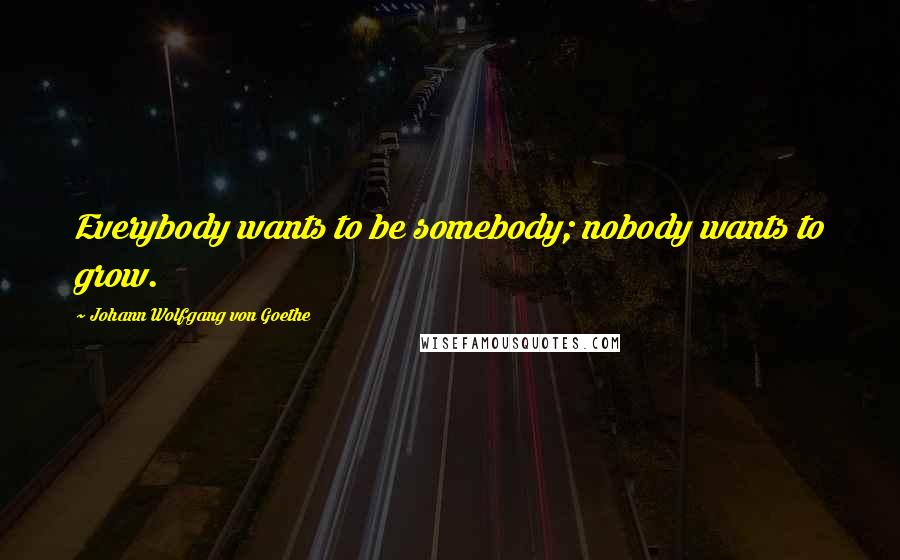 Johann Wolfgang Von Goethe Quotes: Everybody wants to be somebody; nobody wants to grow.