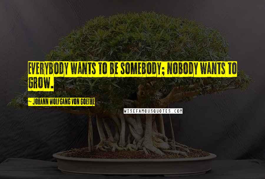 Johann Wolfgang Von Goethe Quotes: Everybody wants to be somebody; nobody wants to grow.